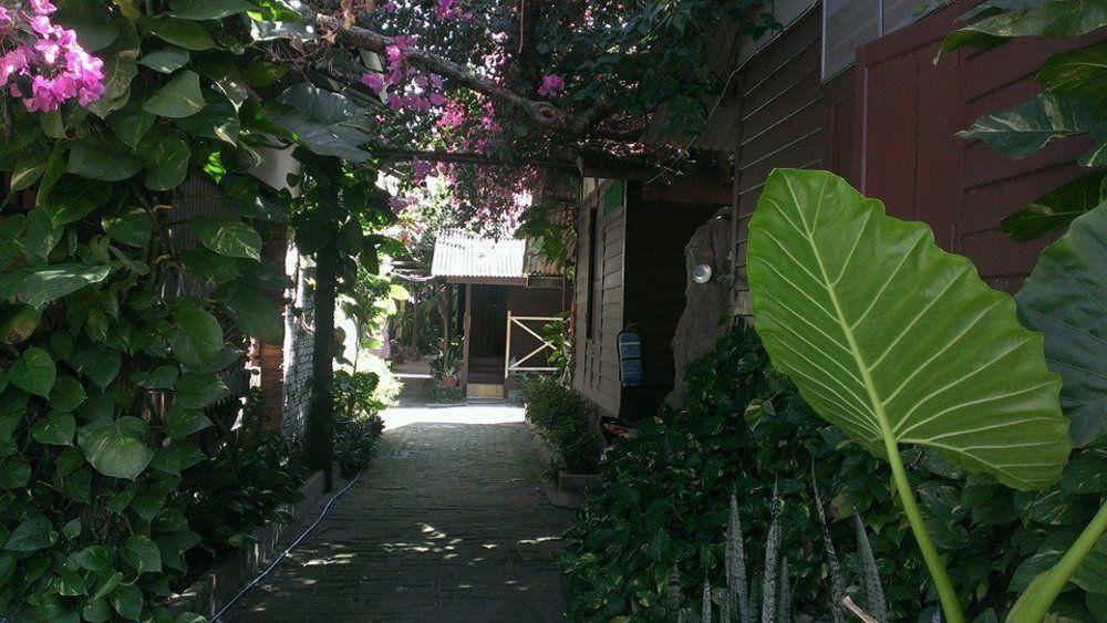 Ombak Inn Chalet Kampung Teluk Nipah Eksteriør billede