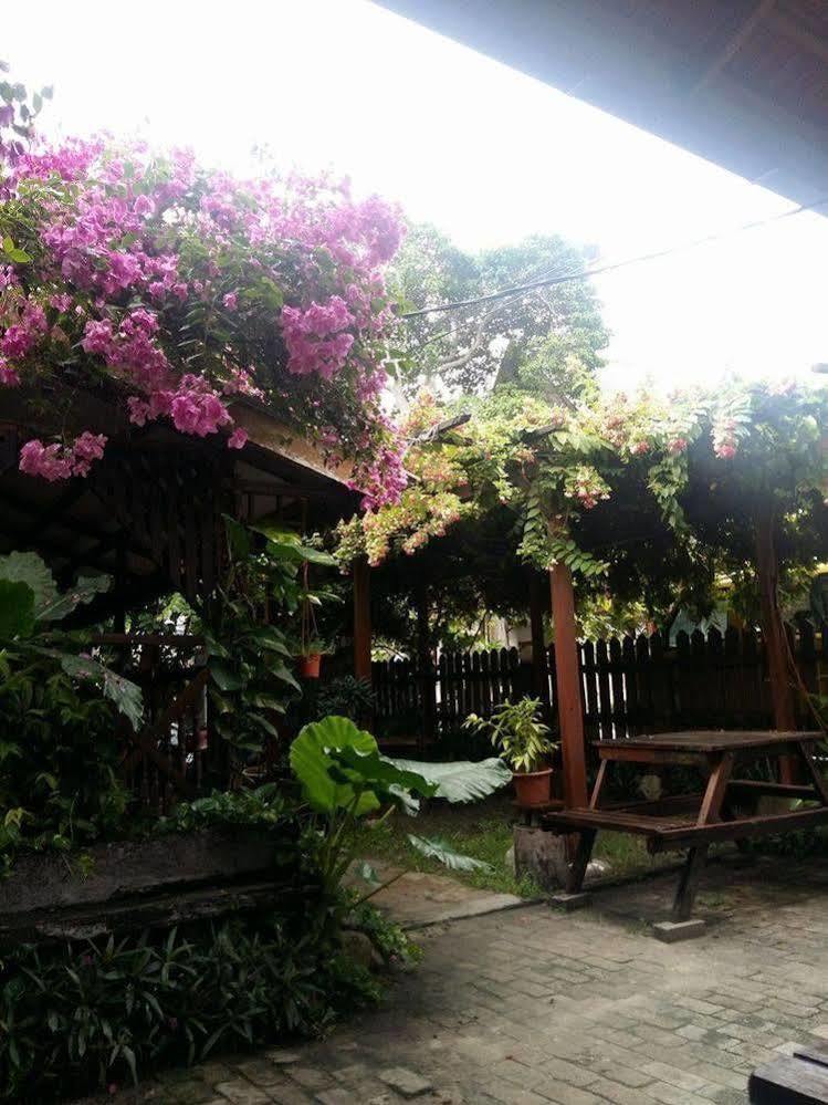 Ombak Inn Chalet Kampung Teluk Nipah Eksteriør billede
